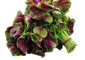 野莧菜能吃嗎？野莧菜圖片