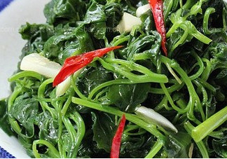 灰灰菜有毒嗎？灰灰菜有沒(méi)有毒