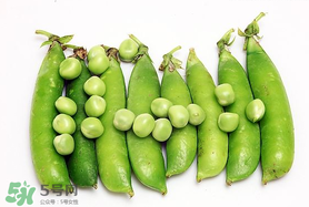 豌豆隔夜能吃嗎？豌豆可以隔夜吃嗎？