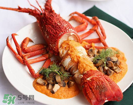 龍蝦怎么養(yǎng)不會(huì)死？大龍蝦怎么養(yǎng)不會(huì)死？