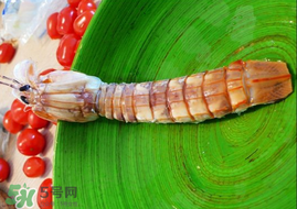 皮皮蝦哪些部位不能吃？皮皮蝦什么部位不能吃？