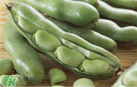 蠶豆要焯水嗎？炒蠶豆要焯水嗎？