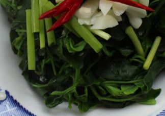 灰灰菜不能和什么一起吃？灰灰菜不能和什么同吃