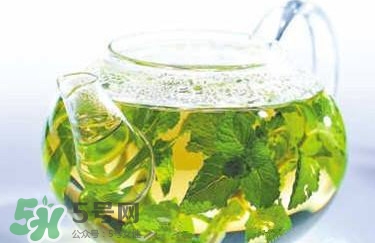 薄荷泡水喝有什么好處？薄荷葉泡水的功效