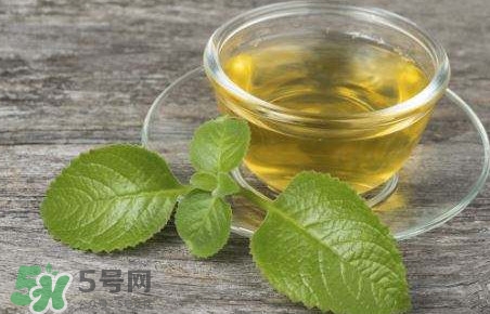 薄荷泡水喝有什么好處？薄荷葉泡水的功效