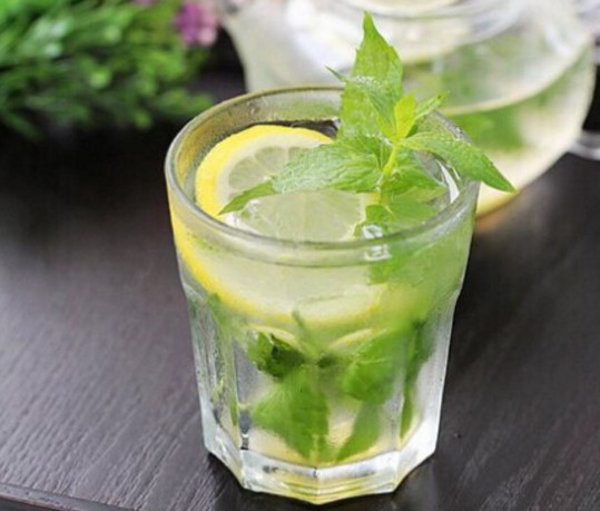 薄荷葉哪里有賣？哪里有薄荷葉賣