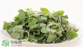 灰灰菜能吃嗎？灰灰菜怎么做菜才好吃