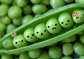 豌豆隔夜能吃嗎？豌豆可以隔夜吃嗎？