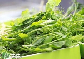 豌豆苗怎么做好吃？豌豆苗的做法