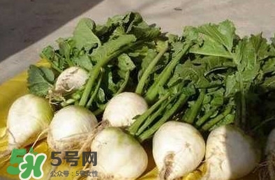 芥菜疙瘩孕婦能吃嗎？孕婦可以吃芥菜疙瘩嗎