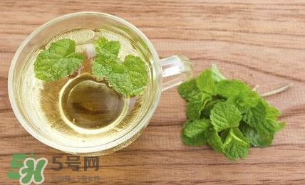 薄荷葉能生吃嗎？薄荷葉可以生吃嗎