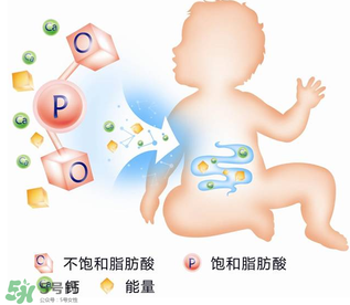 kabrita佳貝艾特羊奶粉怎么樣？kabrita佳貝艾特羊奶粉好不好？