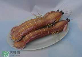 皮皮蝦死了還能吃嗎？皮皮蝦死了多久還能吃？