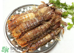 皮皮蝦可以水煮嗎？水煮皮皮蝦怎么做好吃？