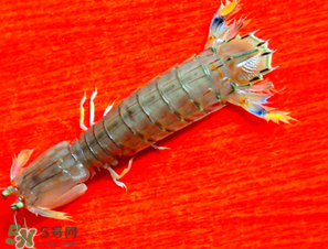 皮皮蝦煮多長時(shí)間？水煮皮皮蝦多長時(shí)間？