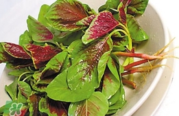莧菜怎么吃？莧菜怎么炒