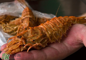 蝦爬子不能和什么一起吃？吃完蝦爬子不能吃什么？