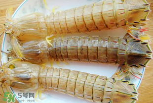 蝦爬子多少錢(qián)一斤？2017蝦爬子價(jià)格