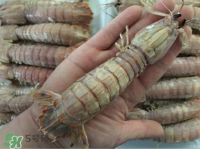 蝦爬子是蒸還是煮？蝦爬子蒸好還是煮好？