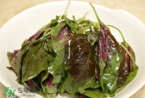 汗菜是發(fā)物嗎？汗菜是不是發(fā)物嗎