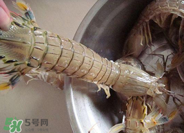 皮皮蝦可以放冰箱嗎？皮皮蝦能放冰箱保存嗎？