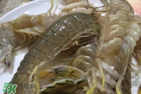 皮皮蝦可以放冰箱嗎？皮皮蝦能放冰箱保存嗎？