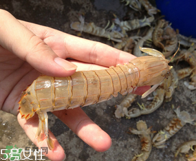 ?皮皮蝦發(fā)綠能吃嗎？?皮皮蝦變綠了還能吃嗎？