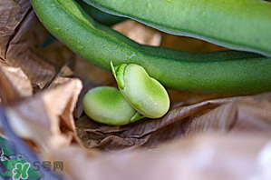 蠶豆可以放冰箱嗎？新鮮蠶豆可以放冰箱嗎？