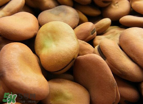 干蠶豆怎么炒才能開裂？干蠶豆怎么炒才好吃？