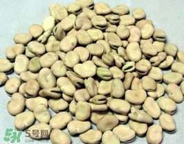 蠶豆長蟲還能吃嗎？蠶豆怎么保存不長蟲？