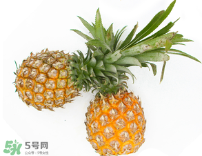 皮皮蝦和菠蘿能一起吃嗎？吃完皮皮蝦能吃菠蘿嗎？