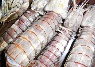 皮皮蝦可以放冰箱嗎？皮皮蝦能放冰箱保存嗎？