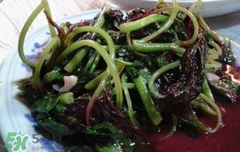 汗菜是發(fā)物嗎？汗菜是不是發(fā)物嗎