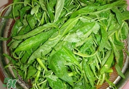 莧菜怎么吃？莧菜怎么炒