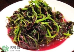 汗菜是發(fā)物嗎？汗菜是不是發(fā)物嗎