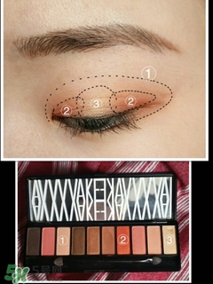 hold live有備案嗎？hold live好用嗎