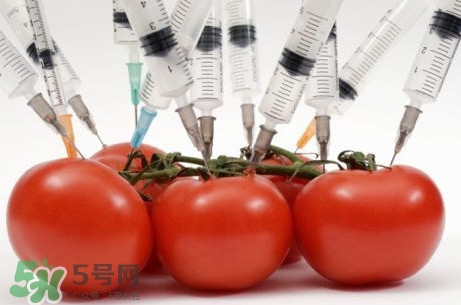 西蘭花是轉(zhuǎn)基因蔬菜？西蘭花轉(zhuǎn)基因食品嗎