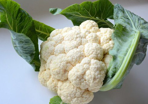 西蘭花是花菜嗎？西蘭花是菜花嗎