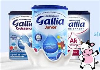 gallia佳利雅奶粉怎么沖？gallia佳利雅奶粉沖調(diào)方法？