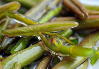 莼菜怎么做？莼菜怎么做好吃？