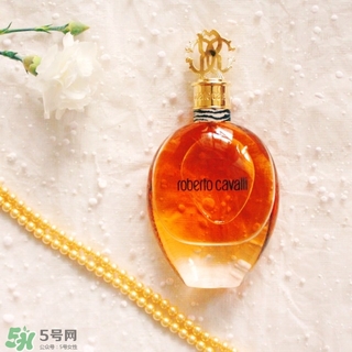 roberto cavalli是什么牌子？羅伯托卡沃利是幾線什么檔次？