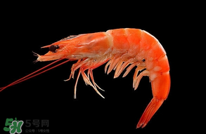 基圍蝦不能和什么一起吃？基圍蝦和什么不能一起吃？