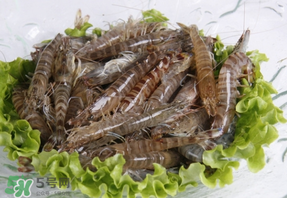 基圍蝦不能和什么一起吃？基圍蝦和什么不能一起吃？