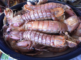 皮皮蝦中間硬的能吃嗎？皮皮蝦中間硬的是什么？