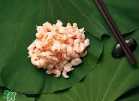 皮皮蝦什么時候有籽？皮皮蝦幾月份有籽？