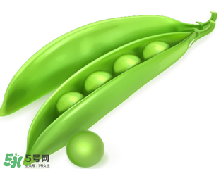荷蘭豆能生吃嗎？荷蘭豆生的可以吃嗎？
