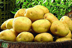 谷雨能種土豆嗎？谷雨前后能種土豆嗎？