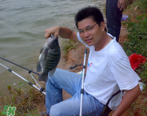 谷雨怎么釣魚？谷雨前后釣魚技巧