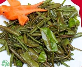 莼菜是什么菜？莼菜是荷葉嗎？