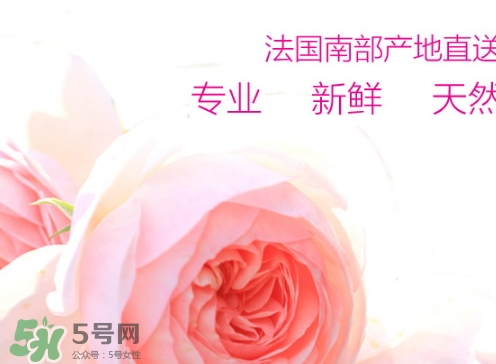 rossi rossa面膜怎么樣？rossi rossa珞珞莊園面膜好不好？